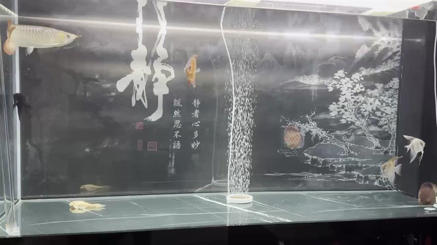 如何查詢《龍魚傳》其他章節字數：掌握龍魚傳其他章節字數的秘訣