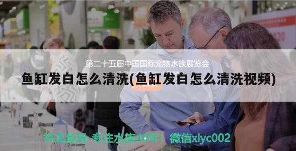魚(yú)缸發(fā)白怎么清洗(魚(yú)缸發(fā)白怎么清洗視頻)