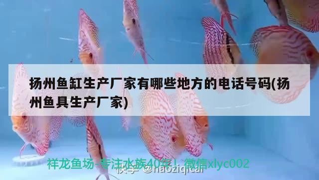 揚(yáng)州魚(yú)缸生產(chǎn)廠家有哪些地方的電話號(hào)碼(揚(yáng)州魚(yú)具生產(chǎn)廠家)