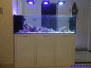 白色裝修配什么顏色魚缸：白色裝修如何搭配魚缸顏色？