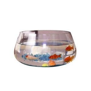 大號(hào)圓形玻璃魚缸多少錢：大號(hào)圓形玻璃魚缸價(jià)格信息：大號(hào)圓形玻璃魚缸價(jià)格信息 大號(hào)圓形玻璃魚缸多少錢：大號(hào)圓形玻璃魚缸價(jià)格信息：大號(hào)圓形玻璃魚缸價(jià)格信息 魚缸百科 第4張