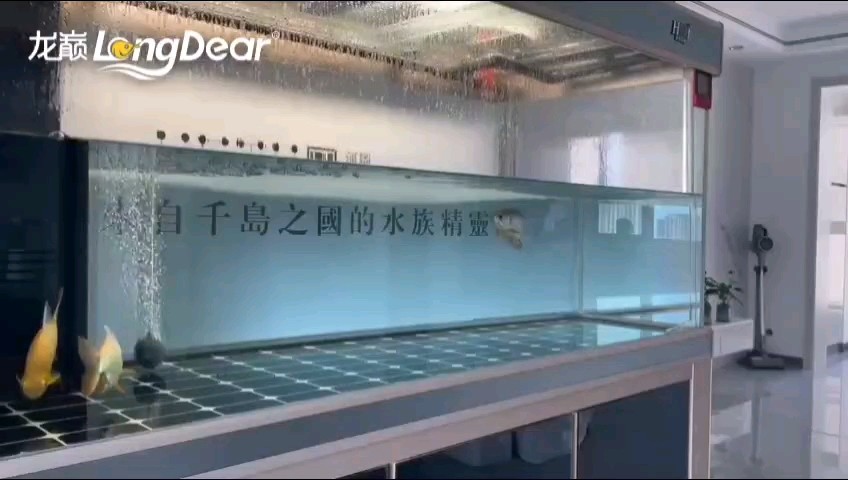 轉發178 轉發178 龍魚論壇