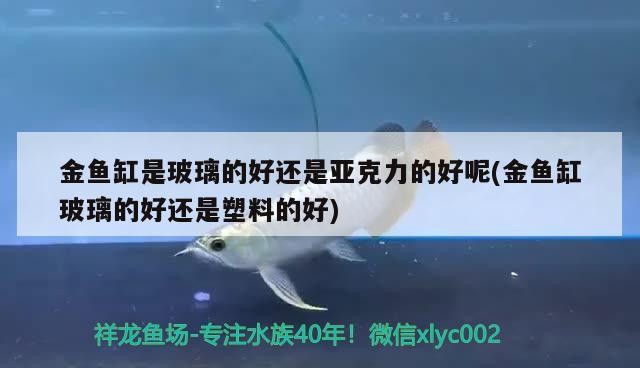 魚缸過濾器選購指南:自制魚缸過濾器魚缸上置過濾器對于養魚愛好者的必備知識 金魚缸是玻璃的好還是亞克力的好呢(金魚缸玻璃的好還是塑料的好) 紅龍魚百科 金魚缸是玻璃的好還是亞克力的好呢(金魚缸玻璃的好還是塑料的好) 金魚缸是玻璃的好還是亞克力的好呢(金魚缸玻璃的好還是塑料的好) 紅龍魚百科
