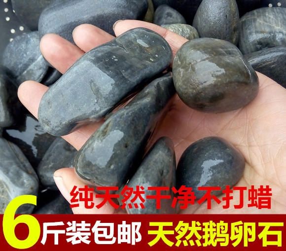 打了蠟的石頭能放魚缸嗎視頻：打了蠟的石頭可以放入魚缸嗎？