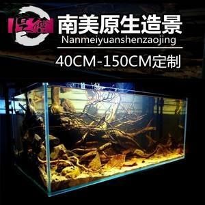 沉木魚缸養什么魚好看又好養：沉木魚缸適合養哪些魚，