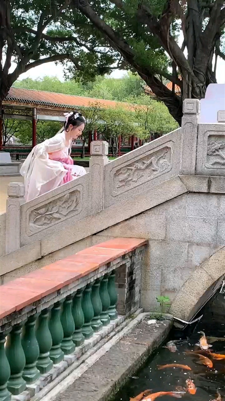 養魚樂趣 養魚樂趣 龍魚論壇