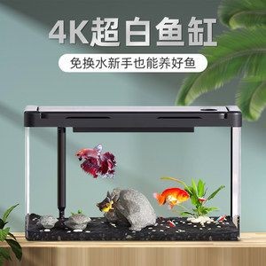白魚缸養什么魚好看又好養：如何選擇適合自己的白色魚缸？
