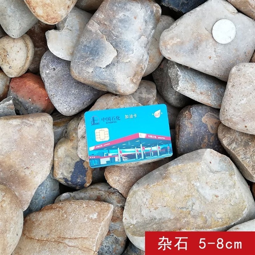 龍魚死亡后多久會腐敗,龍魚死亡后多久會腐敗,如何判斷龍魚是否新鮮龍魚腐敗 龍魚百科 第1張 龍魚死亡后多久會腐敗,龍魚死亡后多久會腐敗,如何判斷龍魚是否新鮮龍魚腐敗 龍魚死亡后多久會腐敗,龍魚死亡后多久會腐敗,如何判斷龍魚是否新鮮龍魚腐敗 龍魚百科 第1張