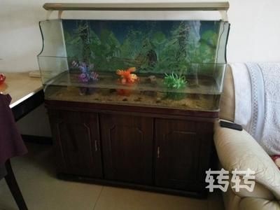 搬家送魚缸好不好：搬家送魚缸好不好取決于多個因素 搬家送魚缸好不好：搬家送魚缸好不好取決于多個因素 魚缸百科 第1張