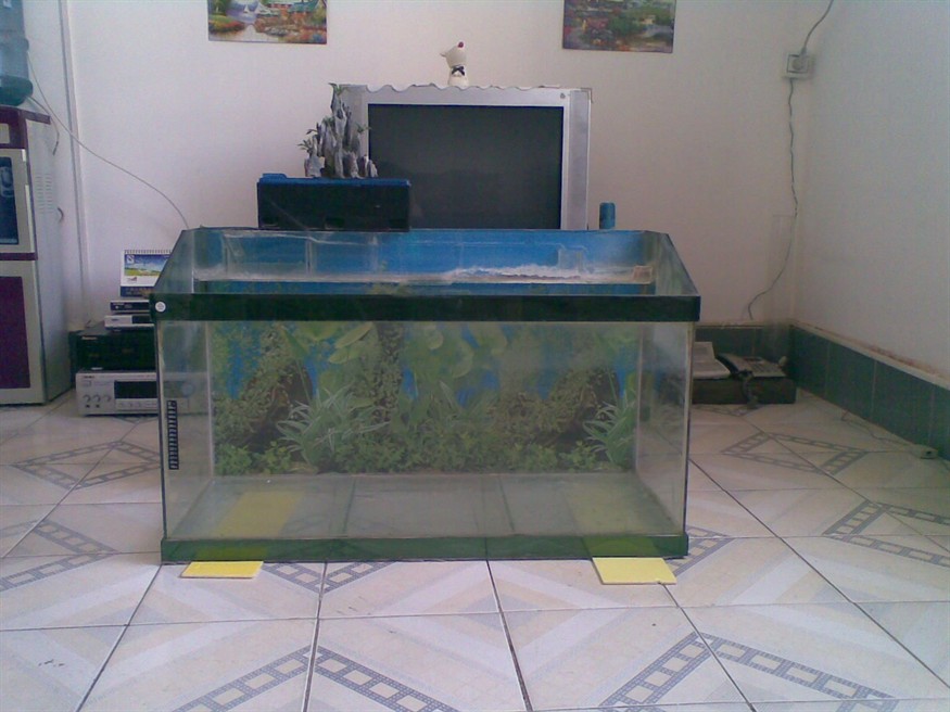 1.2米二手魚缸多少錢：1.2米二手魚缸多少錢1.2米二手魚缸多少錢
