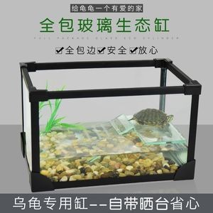 大號玻璃魚缸：如何選擇大號玻璃魚缸