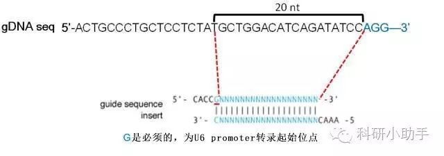 托克托縣藍世界水族批發部（托克托縣水世界電話）