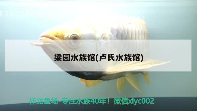 梁園水族館(盧氏水族館)