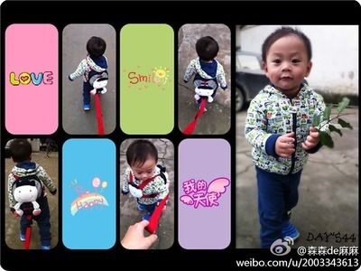 森森的微博：根據(jù)搜索結(jié)果整理一些森森的微博賬號(hào)