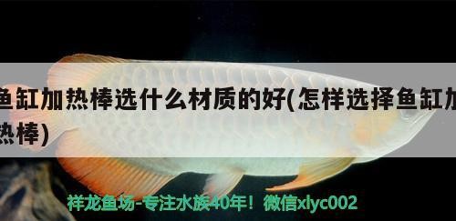 魚缸加熱棒選什么材質(zhì)的好(怎樣選擇魚缸加熱棒) 魚缸加熱棒選什么材質(zhì)的好(怎樣選擇魚缸加熱棒) 紅龍魚百科