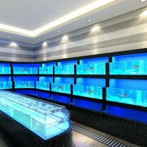 1.2米的魚缸有多少升水:1.2米長的魚缸有多少升水,1.2米的魚缸有多少升水 魚缸百科 第1張 1.2米的魚缸有多少升水:1.2米長的魚缸有多少升水,1.2米的魚缸有多少升水 1.2米的魚缸有多少升水:1.2米長的魚缸有多少升水,1.2米的魚缸有多少升水 魚缸百科 第1張
