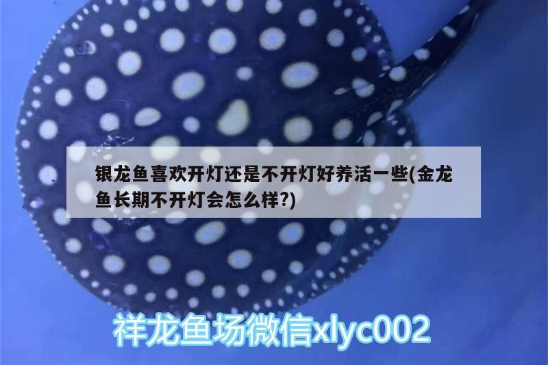 銀龍魚喜歡開燈還是不開燈好養活一些(金龍魚長期不開燈會怎么樣?)