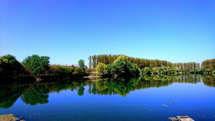 簡單大氣魚缸造景圖片欣賞大全(簡單大氣魚缸造景圖片欣賞大全視頻)