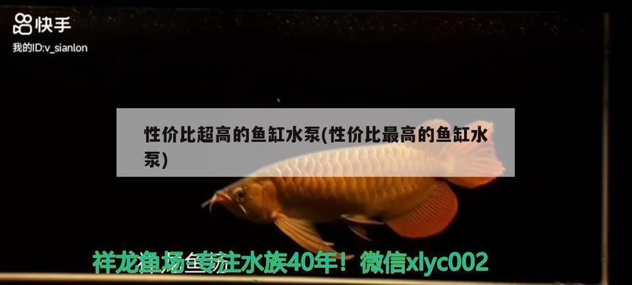 森森小鯉魚缸過濾器進水管口徑（森森小鯉過濾器安裝） 森森小鯉魚缸過濾器進水管口徑（森森小鯉過濾器安裝） 森森魚缸