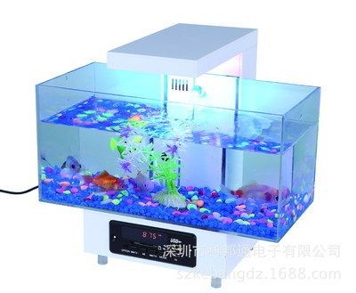 大缸改造魚(yú)缸視頻播放器：大缸改造魚(yú)缸全過(guò)程