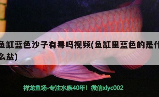 魚缸藍色沙子有毒嗎視頻(魚缸里藍色的是什么鹽)