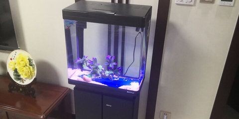 博宇魚缸過濾器安裝：博宇魚缸過濾器基本安裝方法包括以下幾個步驟