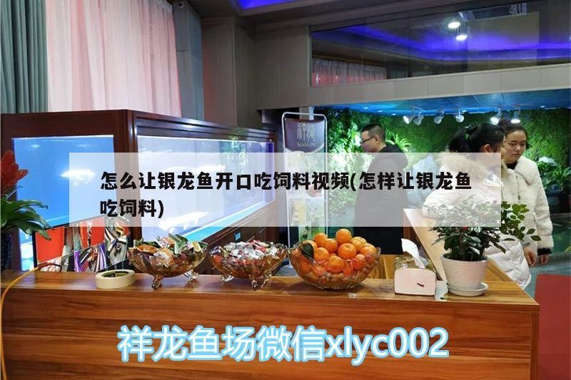 給大魚缸換水的作文:體驗給大魚缸換水的樂趣:體驗給大魚缸換水:給大魚缸換水的作文 怎么讓銀龍魚開口吃飼料視頻(怎樣讓銀龍魚吃飼料) 銀龍魚百科 怎么讓銀龍魚開口吃飼料視頻(怎樣讓銀龍魚吃飼料) 怎么讓銀龍魚開口吃飼料視頻(怎樣讓銀龍魚吃飼料) 銀龍魚百科