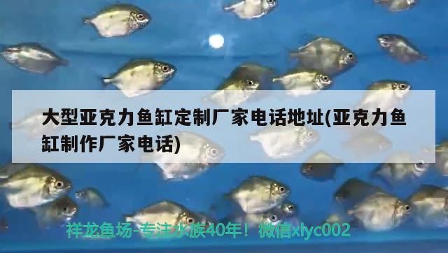 飼料 大型亞克力魚缸定制廠家電話地址(亞克力魚缸制作廠家電話) 豬鼻龜百科 大型亞克力魚缸定制廠家電話地址(亞克力魚缸制作廠家電話) 大型亞克力魚缸定制廠家電話地址(亞克力魚缸制作廠家電話) 豬鼻龜百科