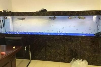 超白魚缸三線五線區別大嗎：超白魚缸三線和五線的區別 超白魚缸三線五線區別大嗎：超白魚缸三線和五線的區別 魚缸百科 第2張