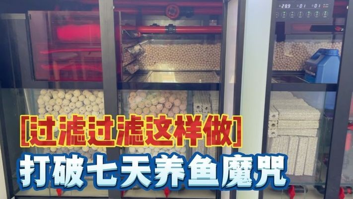 底濾魚缸工作原理視頻教程（底濾缸過濾原理講解）