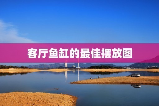 紅龍魚多少錢一條?（印尼紅龍魚多少錢一條） 紅龍魚多少錢一條?（印尼紅龍魚多少錢一條） 紅龍魚百科