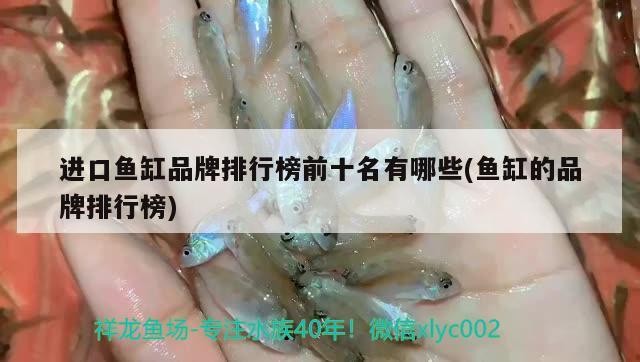 進(jìn)口魚缸品牌排行榜前十名有哪些(魚缸的品牌排行榜)