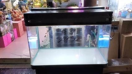 超白玻璃魚缸會爆缸嗎為什么：超白玻璃魚缸會爆缸嗎？
