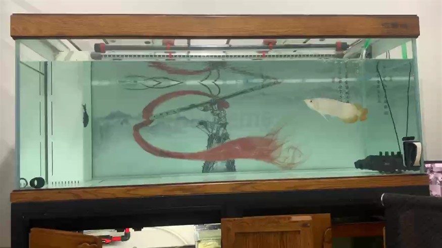 每次都是半夜換水