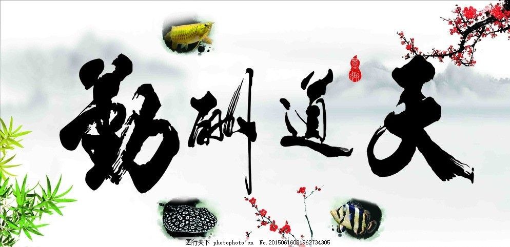 白色魚(yú)缸背景圖高清：如何選擇合適的白色魚(yú)缸背景圖