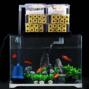 紅龍魚45公分需要多大魚缸？（紅龍魚的飼養(yǎng)環(huán)境配置）