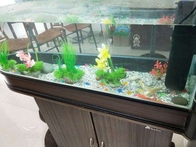 搬新家舊魚缸怎么處理的：墊把魚缸包著搬家時，舊魚缸的處理需要考慮風(fēng)水和實用性 搬新家舊魚缸怎么處理的：墊把魚缸包著搬家時，舊魚缸的處理需要考慮風(fēng)水和實用性 魚缸百科 第1張