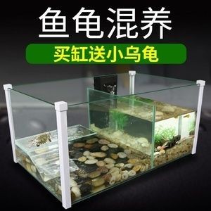 玻璃膠粘魚缸結(jié)實(shí)嗎：如何選擇粘魚缸的玻璃膠