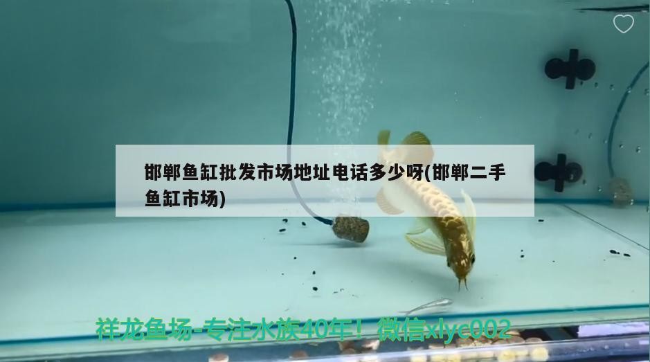 邯鄲魚(yú)缸批發(fā)市場(chǎng)地址電話(huà)多少呀(邯鄲二手魚(yú)缸市場(chǎng)) 邯鄲魚(yú)缸批發(fā)市場(chǎng)地址電話(huà)多少呀(邯鄲二手魚(yú)缸市場(chǎng)) 森森魚(yú)缸
