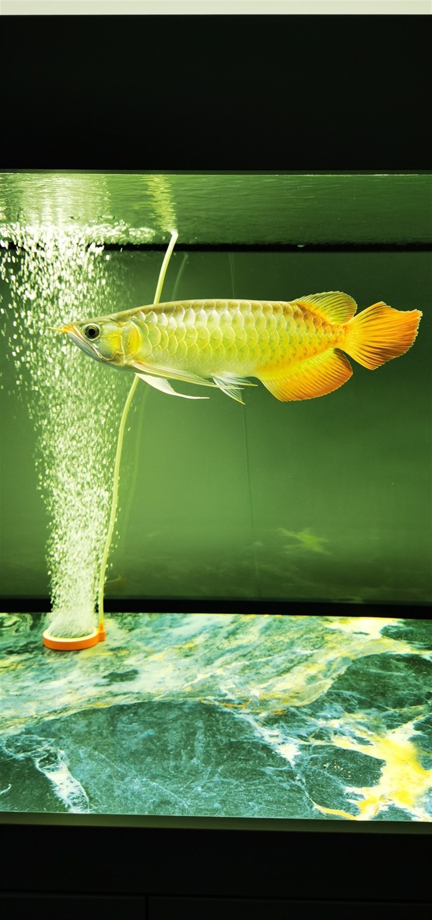 五行龍之間如何相生相克，五行龍之間如何相克