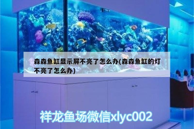 森森魚缸顯示屏不亮了怎么辦(森森魚缸的燈不亮了怎么辦) 紅龍魚百科 第2張 森森魚缸顯示屏不亮了怎么辦(森森魚缸的燈不亮了怎么辦) 森森魚缸顯示屏不亮了怎么辦(森森魚缸的燈不亮了怎么辦) 紅龍魚百科 第2張