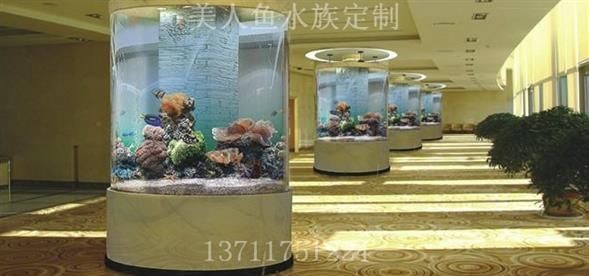 玻璃魚缸造景綠蘿：如何利用魚缸水養殖綠蘿