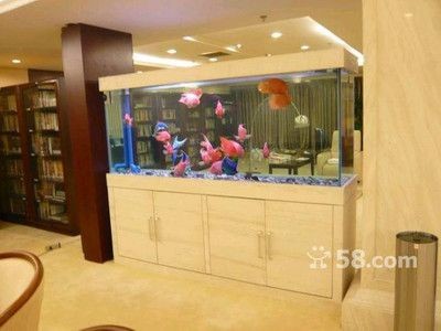 大興魚缸賣魚缸的地方：北京大興區魚缸定制與保養介紹魚缸定制與保養介紹 大興魚缸賣魚缸的地方：北京大興區魚缸定制與保養介紹魚缸定制與保養介紹 魚缸百科 第1張