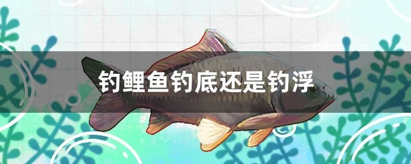 釣鯉魚釣底還是釣浮