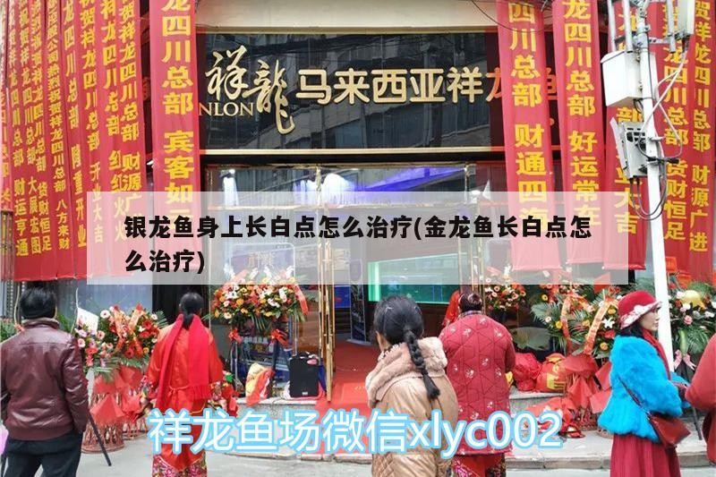 銀龍魚身上長白點怎么治療(金龍魚長白點怎么治療)