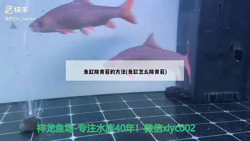 魚缸用增氧泵價格是多少:魚缸增氧機-xtrac增氧機-xtrac增氧機 魚缸除青苔的方法(魚缸怎么除青苔) 虎魚百科 魚缸除青苔的方法(魚缸怎么除青苔) 魚缸除青苔的方法(魚缸怎么除青苔) 虎魚百科