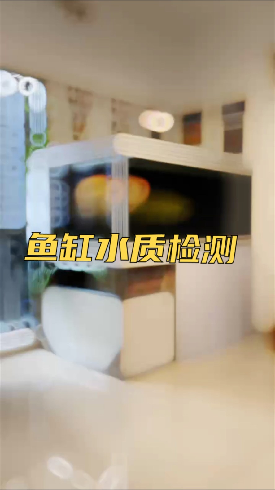 魚(yú)缸換水前，先檢測(cè)一下水質(zhì)！