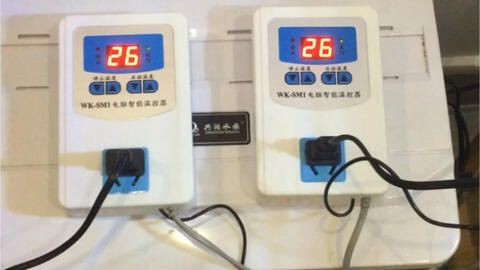冬天魚缸加熱棒費電嗎：冬天魚缸加熱棒的研究領(lǐng)域，冬季養(yǎng)魚的技巧和技巧