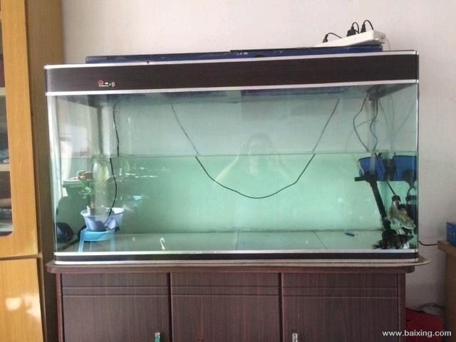 搬家魚缸怎么處理：搬家魚缸的處理方式 搬家魚缸怎么處理：搬家魚缸的處理方式 魚缸百科 第3張