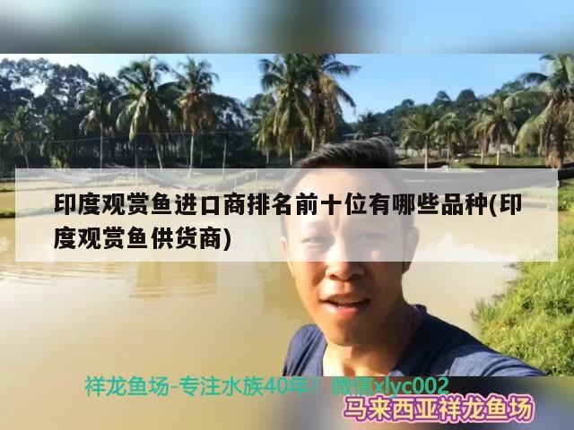 印尼龍魚進口價格走勢圖分析最新版視頻大全圖片(印尼紅龍魚價格)